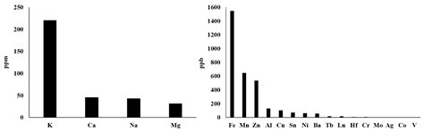 Mitochondrial Metal Ion Transport in Cell Metabolism and Disease