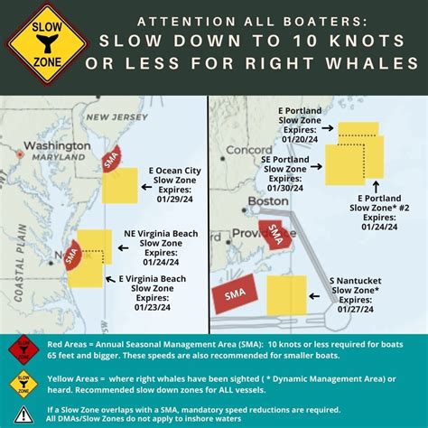 New Voluntary Right Whale Slow Zone Southeast of Portland, ME ...