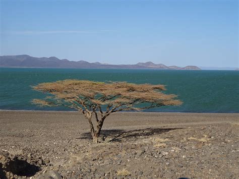 What Makes Turkana an Attractive Destination for a Self-Drive Safari ...
