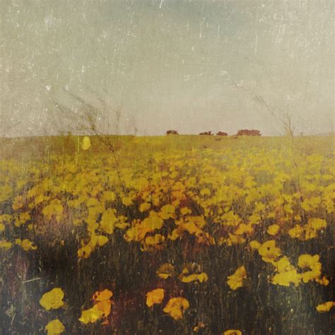 Naturals/a photo.graphic journey – Dietmar Halbauer Contemporary Arts