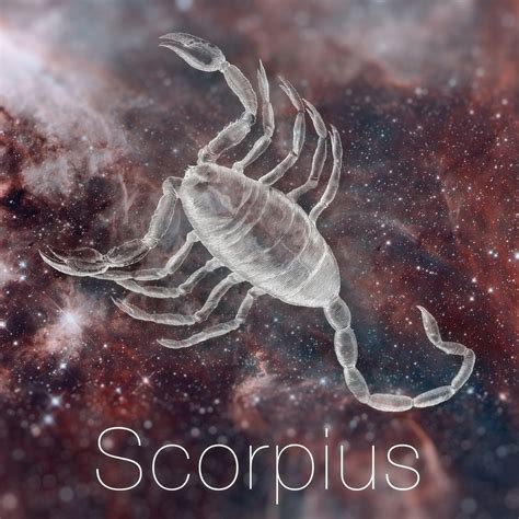 Horoscop 2020. Scorpion: Un an în care sinceritatea joacă un rol ...