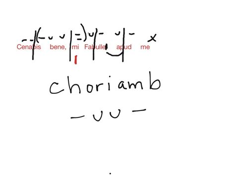 Image result for Latintutorial Scanscion