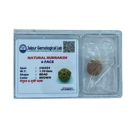 Authentic 6-Faced Rudraksha | Lab Tested 6 Mukhi Seed | Locate Us Store ...