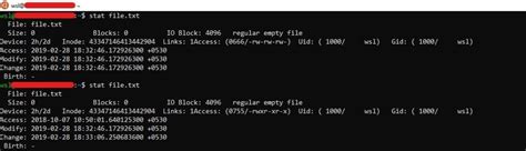 Shutil Module in Python 的图像结果