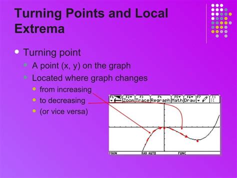 Polynomial Graph Examples 的图像结果