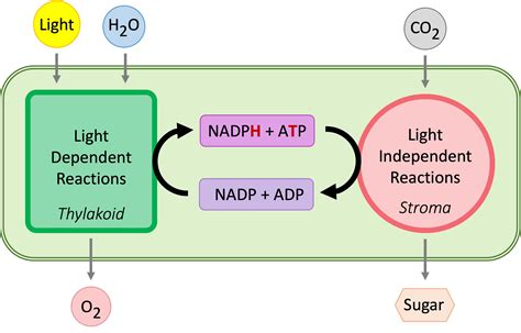 Independent set Problems 的图像结果