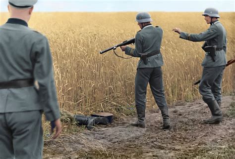 Image result for WWII in Color