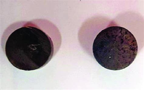 Image result for Biocompatibility Test