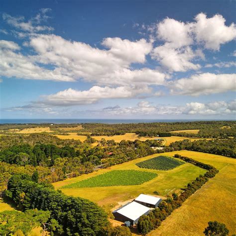 BELLBRAE ESTATE (2026) All You Need to Know BEFORE You Go (with Photos ...