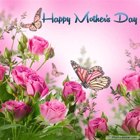 Mother S Day Flower Border