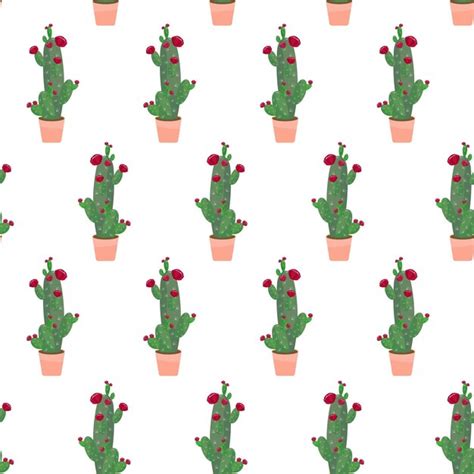 Flowering cacti seamless pattern vector illustration on white | Premium ...