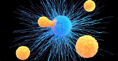 Image result for Strong Deep Tissue