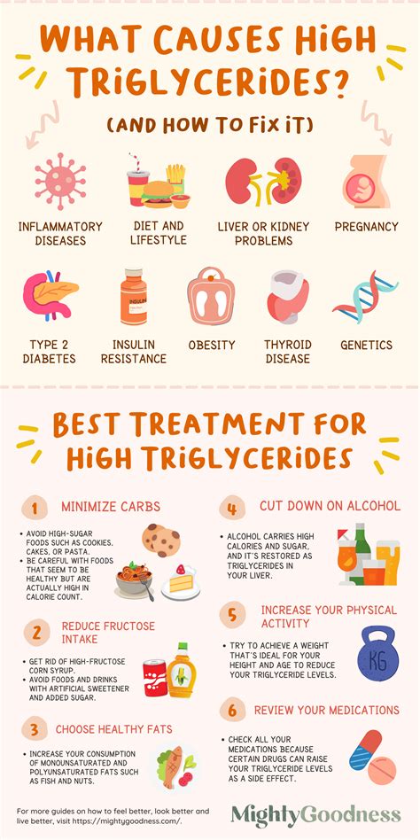 High Triglycerides And Pancreatitis | What Causes Hypertriglyceridemia ...