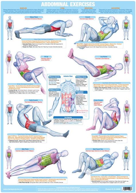 Core Muscle Workouts 的图像结果