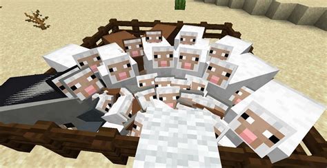 How to Level Up Fast in Minecraft 的图像结果