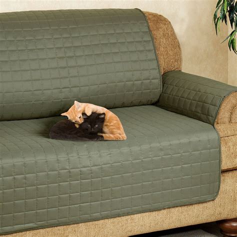 15 Photos The Smart Way to Protect Your Sofa from Pets: a Comprehensive ...