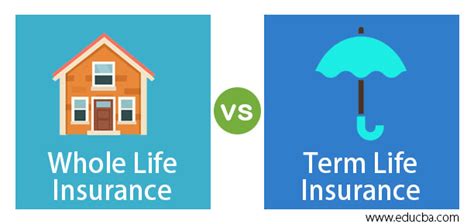 Image result for Term Life Insurance vs Life Insurance