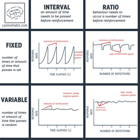 5. Learning · GitBook
