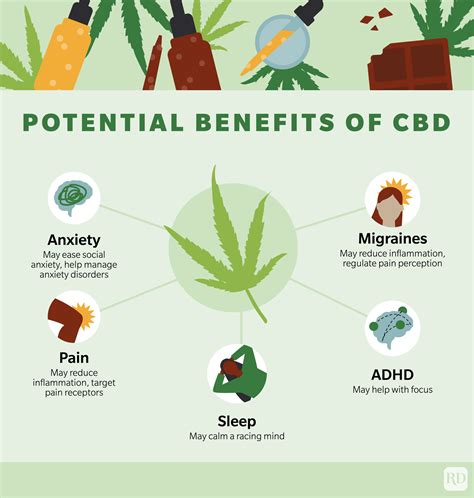 The Ultimate Guide to CBD | Types, Benefits, Recipes, Buying Guide ...