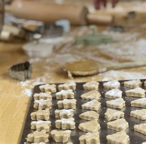 Paws and Claws | Rochester, MN Dentists