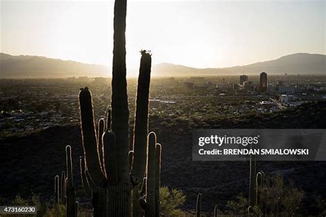 157 Tucson Sunrise Stock Photos, High-Res Pictures, and Images - Getty ...