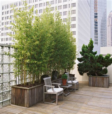 15 Container Garden Plants That Breeze Through Summer's Heat