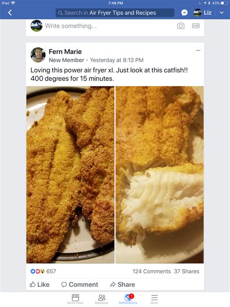 Delicious Air Fryer Fried Chicken | Reheating fried fish in air fryer ...