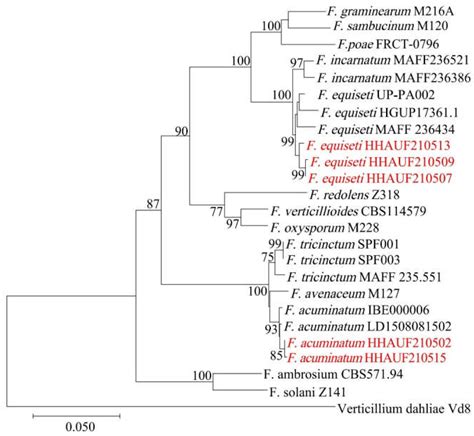 Characterization and Fungicide Screening of a New Pathogen That Causes ...