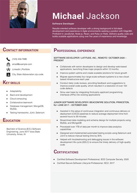 Image result for Software Developer Resume Example