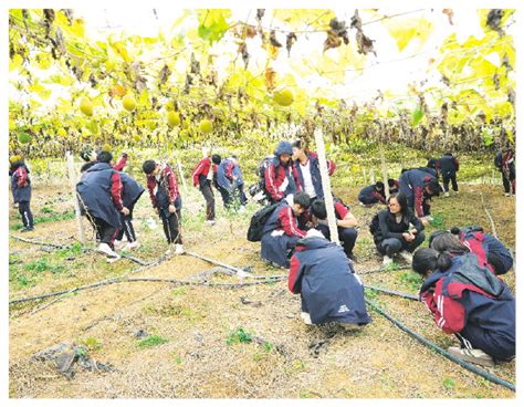 桂林文旅市场持续升温 桂林军博园推出三月三研学新玩法-桂林生活网新闻中心