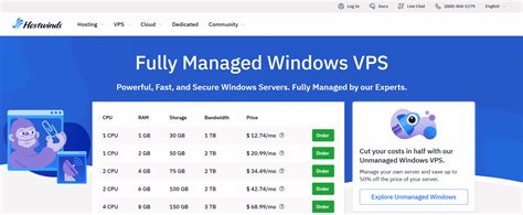 Image result for Windows VPS Hosting