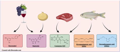 Therapeutic Potential of Select Dietary Compounds in the Management of ...