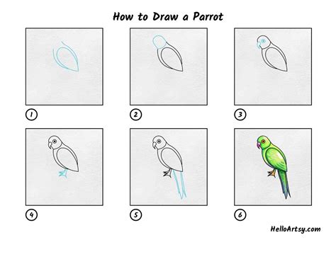 Image result for How to Draw Simple Parrot