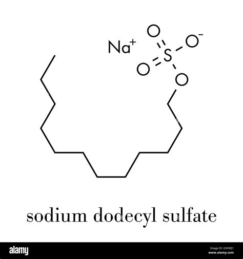 Sodium dodecyl sulfate (SDS, sodium lauryl sulfate) surfactant molecule ...