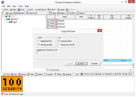 Encase Tutorial 的图像结果