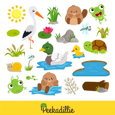 Pond Animal Turtle Frog Duck Snail Beaver Raven Birds Illustration ...