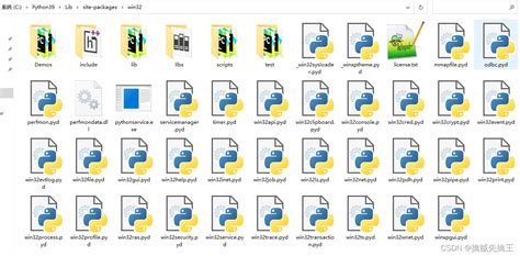 Image result for Pywin32 Tutorial