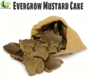EVERGROW Natural Organic Mustard Cake for Plants Fertilizer for Home ...