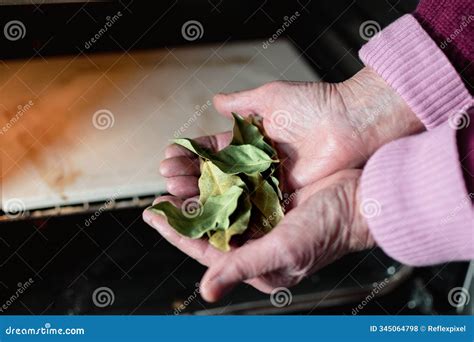Bay Leaves for Cooking, Burning, To Bring Serenity, Reduce Anxiety, Relieve Headaches and ...