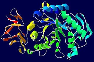 Bildergebnis für amylase