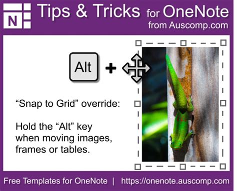 How to Add Fonts to OneNote 的图像结果