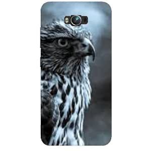 BetaDesign Graffiti and Illustrations Back Cover, Designer Cover for ...