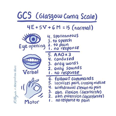 Glasgow coma scale gcs – Artofit
