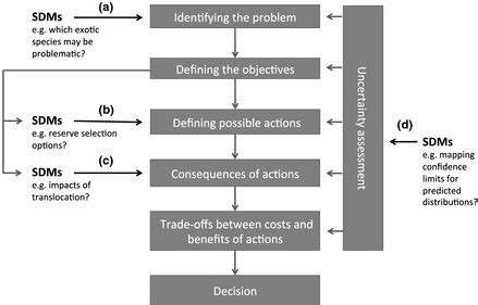 Image result for Structured Decision Process