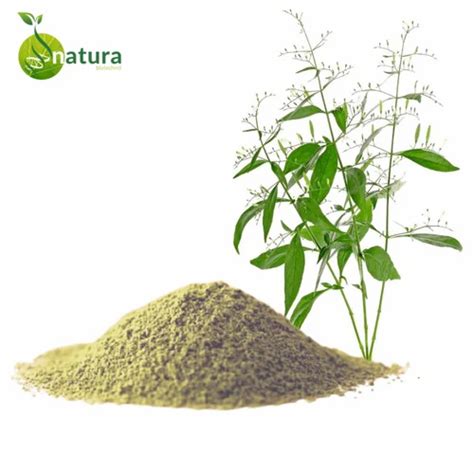 Herbal Extract - Natura Amla Extract Exporter from Bengaluru