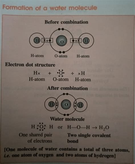 Draw Lewis-dot diagram of H2O - Brainly.in