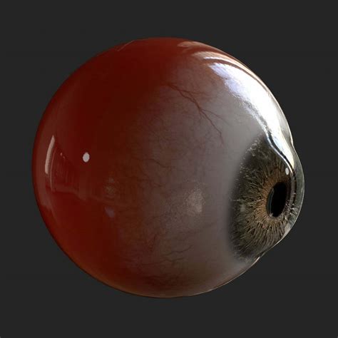 Real Eyeball Side View