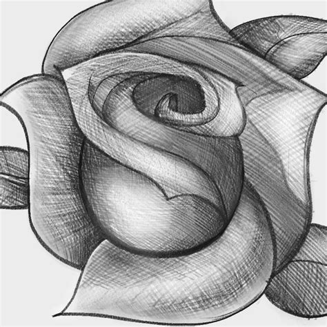 Image result for How to Make Very Beautiful Drawing in Computer
