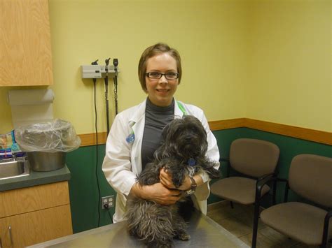 Timonium Animal Hospital, Veterinarians and Staff