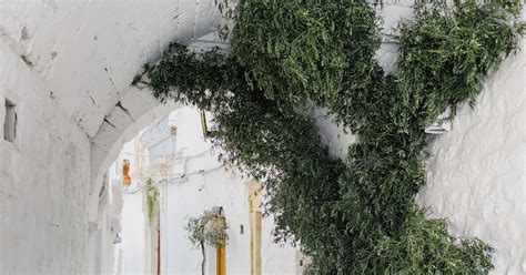 iPhone 14 Pro 的图像结果